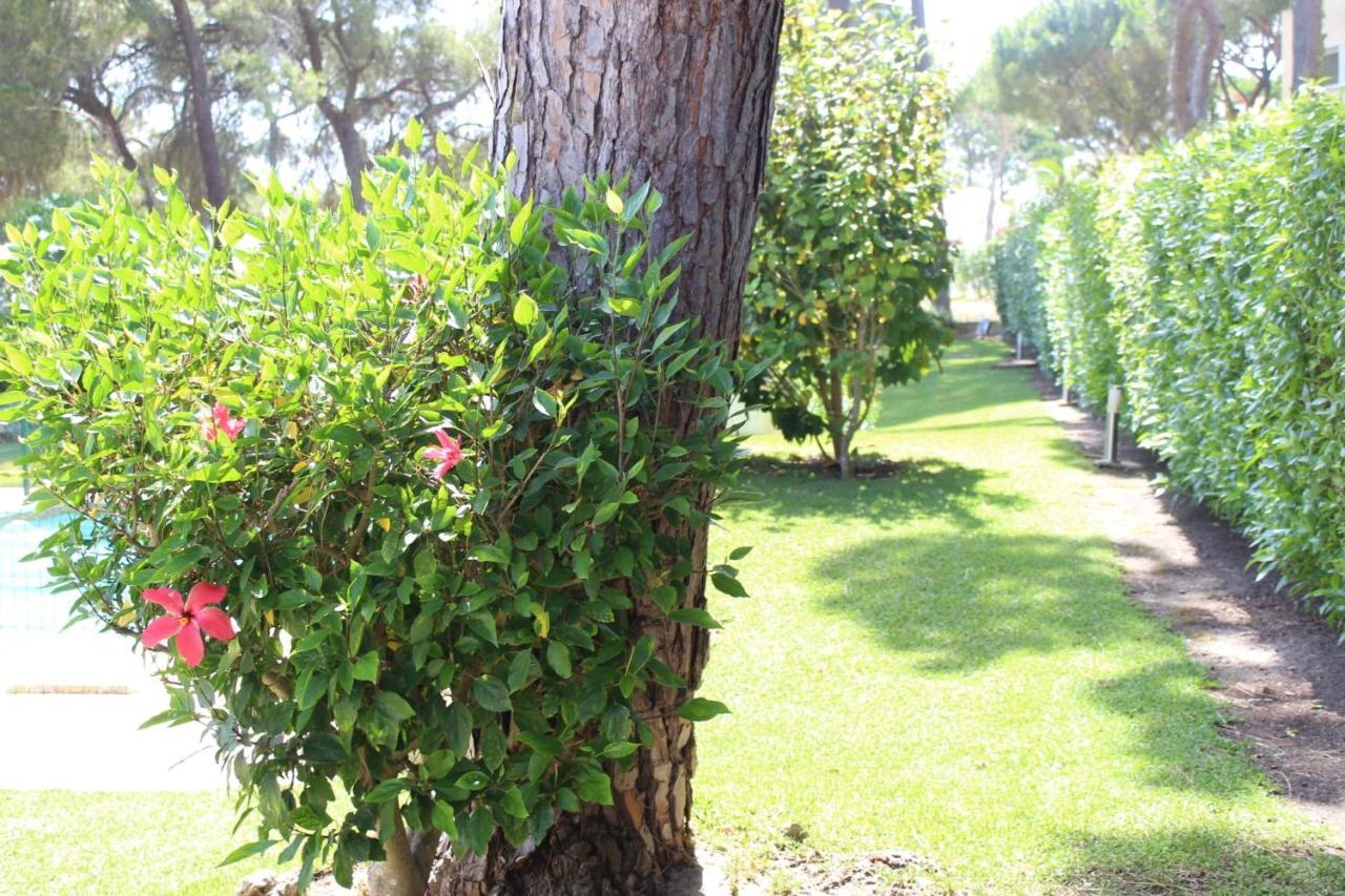 וילהמורה The Pinewood Villa מראה חיצוני תמונה