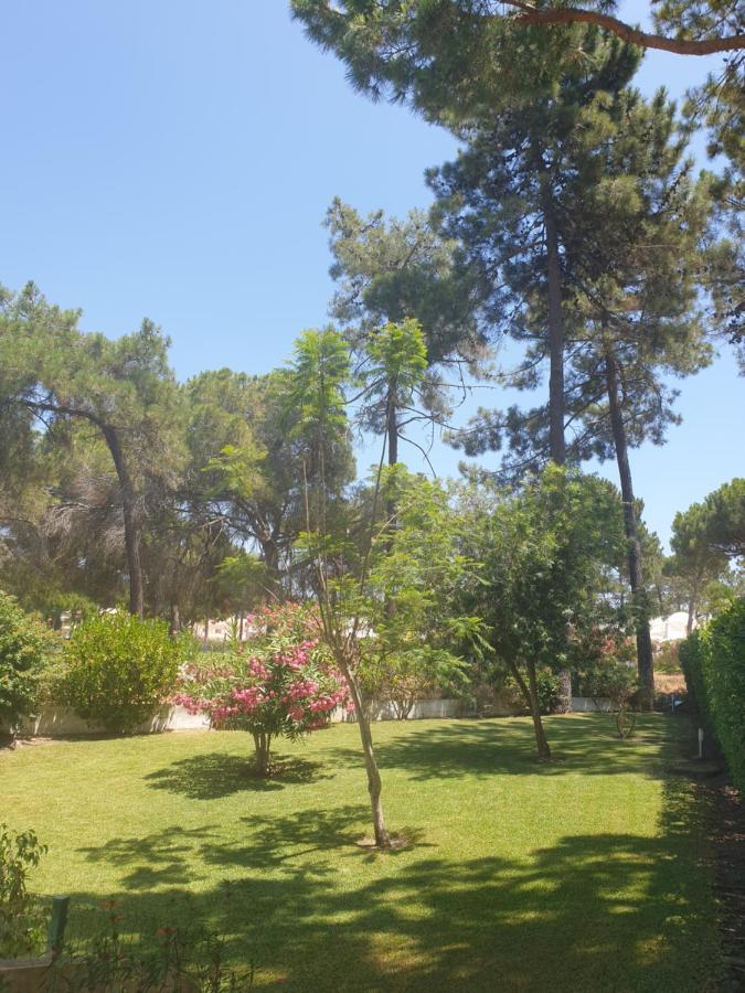 וילהמורה The Pinewood Villa מראה חיצוני תמונה