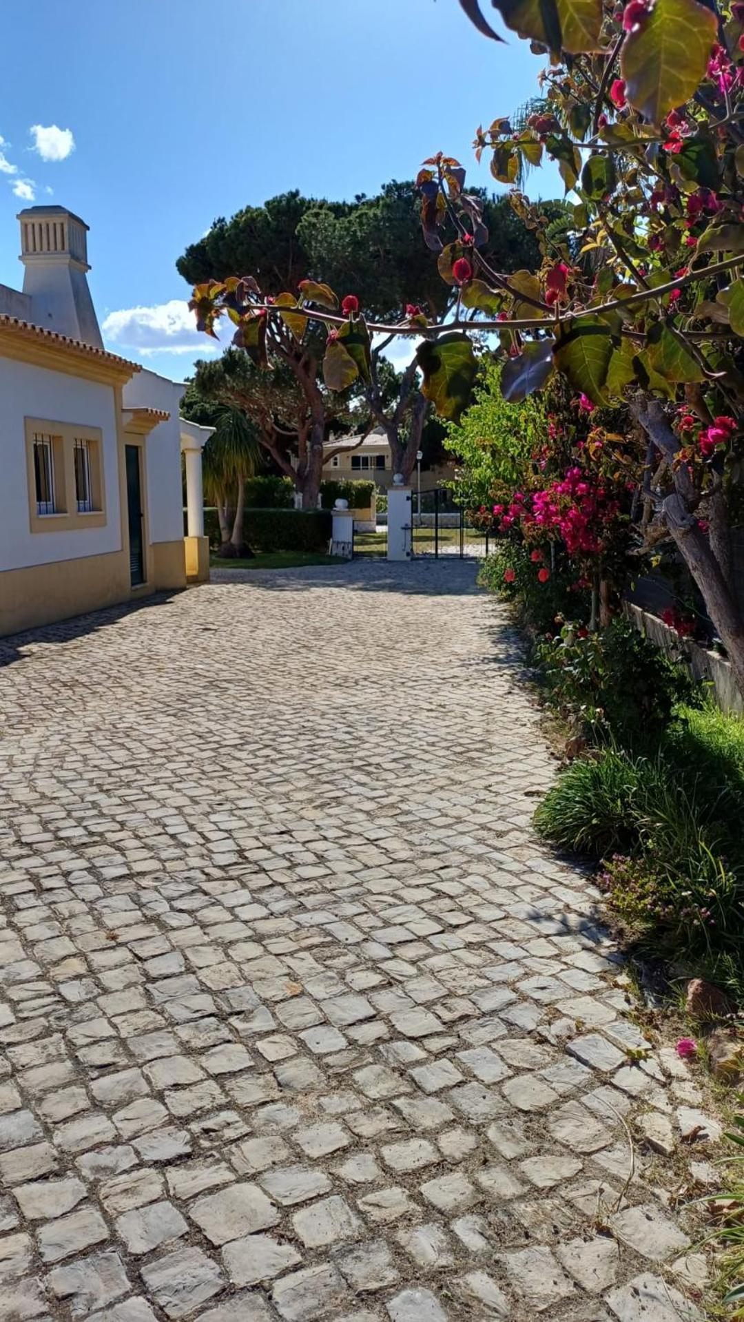 וילהמורה The Pinewood Villa מראה חיצוני תמונה