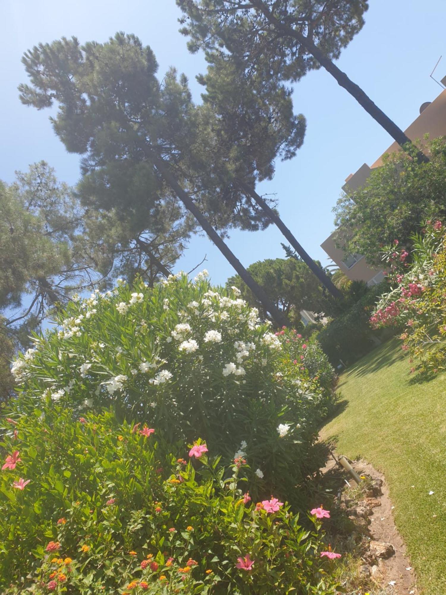 וילהמורה The Pinewood Villa חדר תמונה